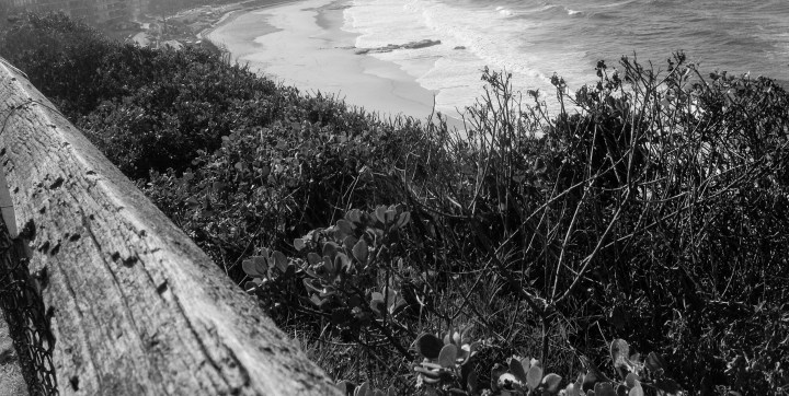 Beached - stevestillstanding