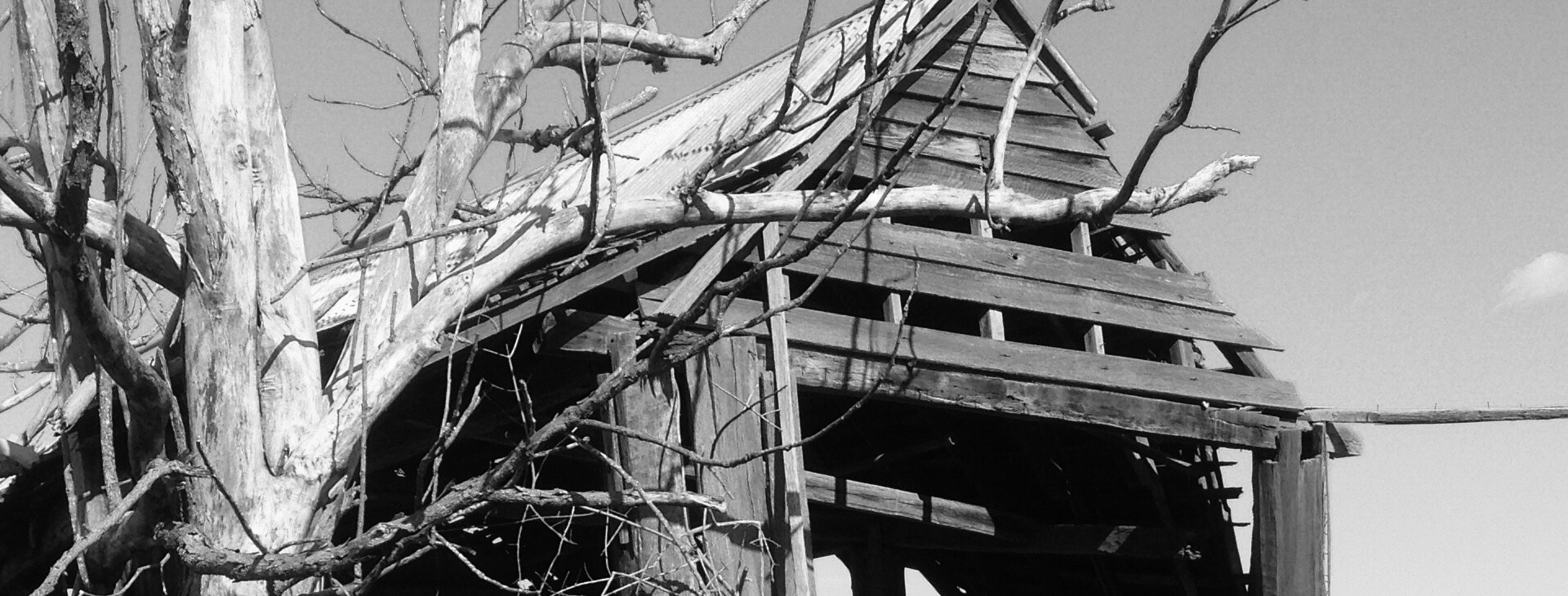 stevestillstanding.com