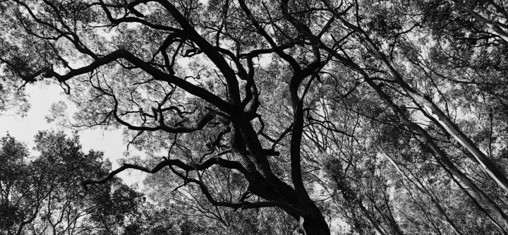 Twisted - stevestillstanding.com