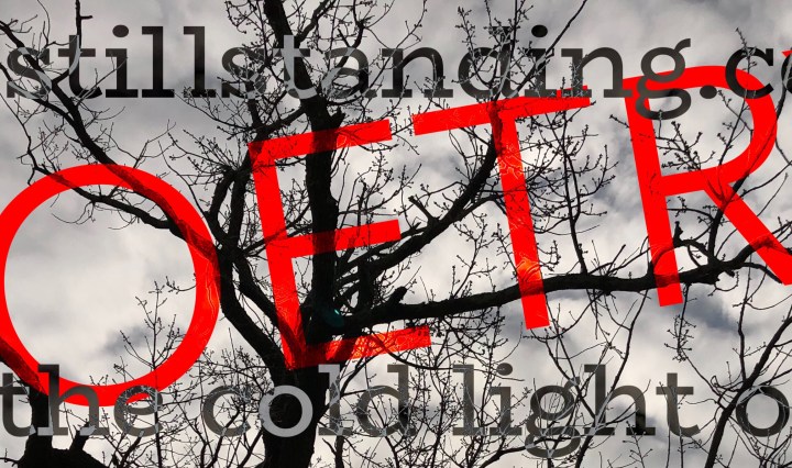 Poetry at stevestillstanding