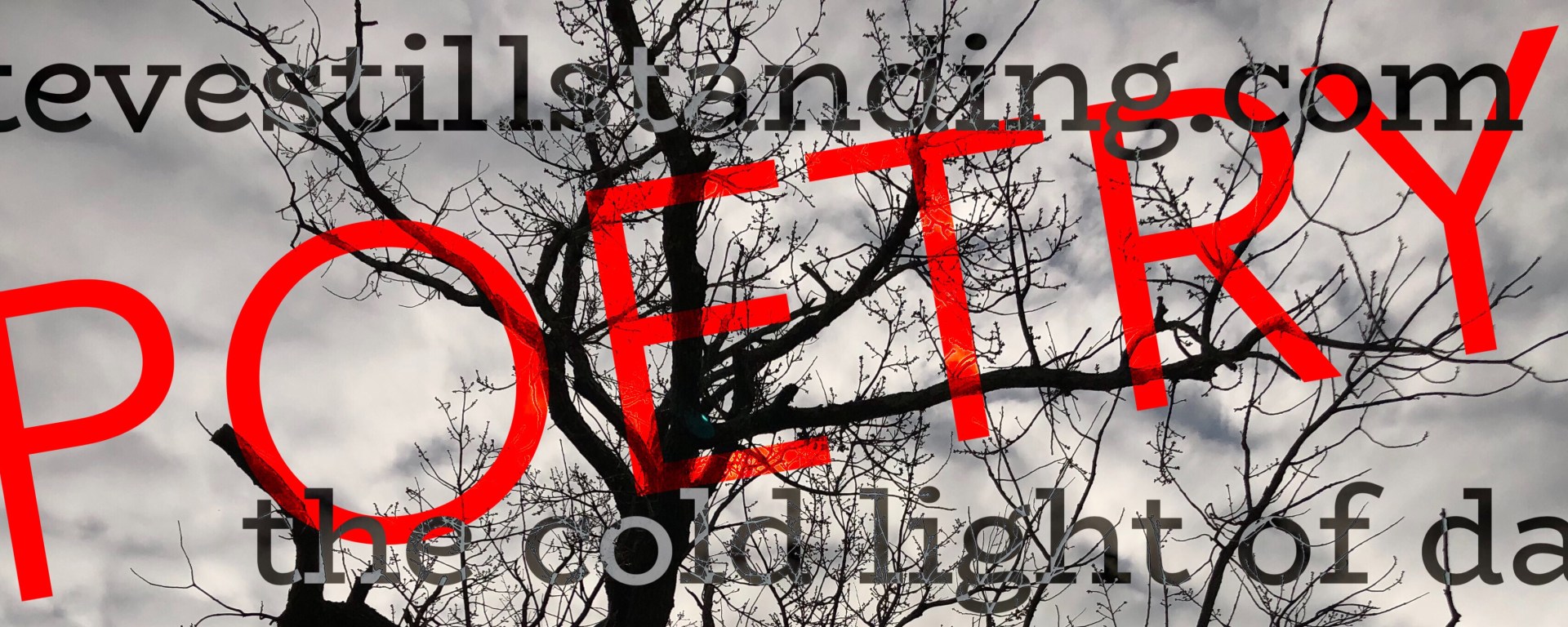 Poetry at stevestillstanding