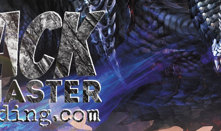 laidback dm - stevestillstanding