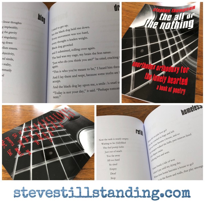poetry book - the all or the nothing - stevestillstanding
