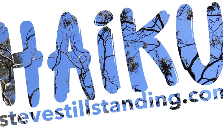 Haiku - stevestillstanding.com