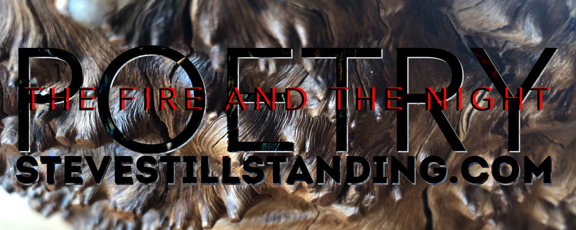 Poetry - stevestillstanding.com
